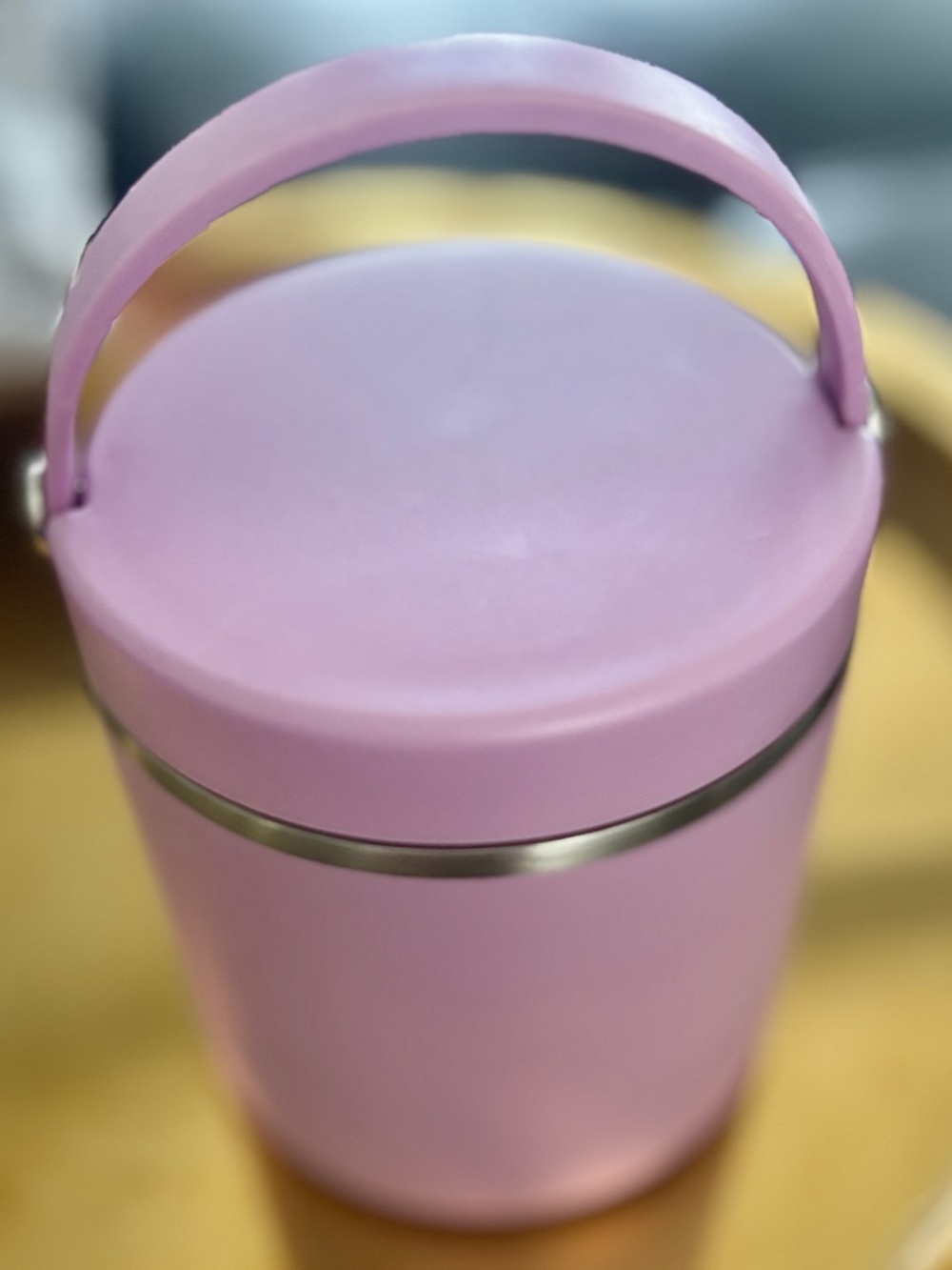 Purple Hydrapeak 25oz Stainless Steel Insulated Food Jar for Hot and Cold Food
